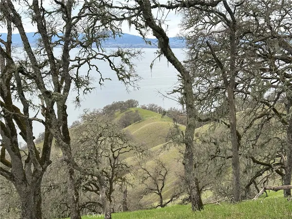 a view of a backyard with a trees