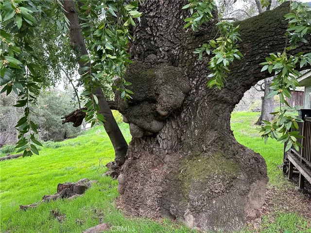 $650,000 | 7004 East Highway 20, Lucerne, CA 95458