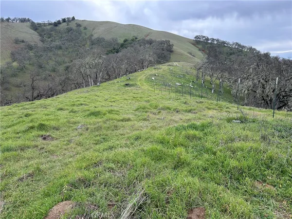 a view of a lush green hillside and a mountain