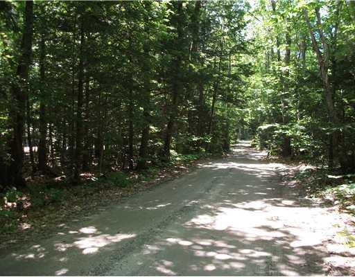 55 Ai Road Raymond, ME 04071 - Photo 3 of 6 Land. Nice level spot for building...
