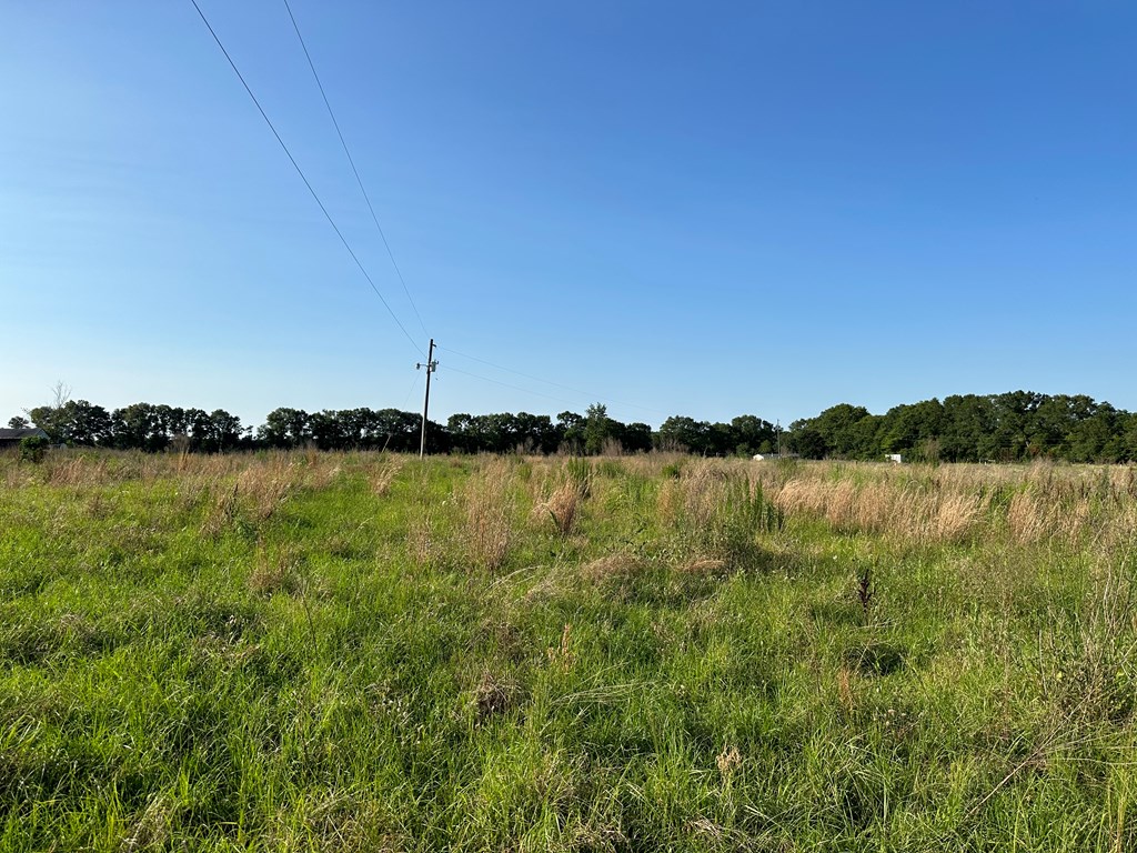 761 Rehobeth Road Dothan, AL 36301 - Photo 3 of 12