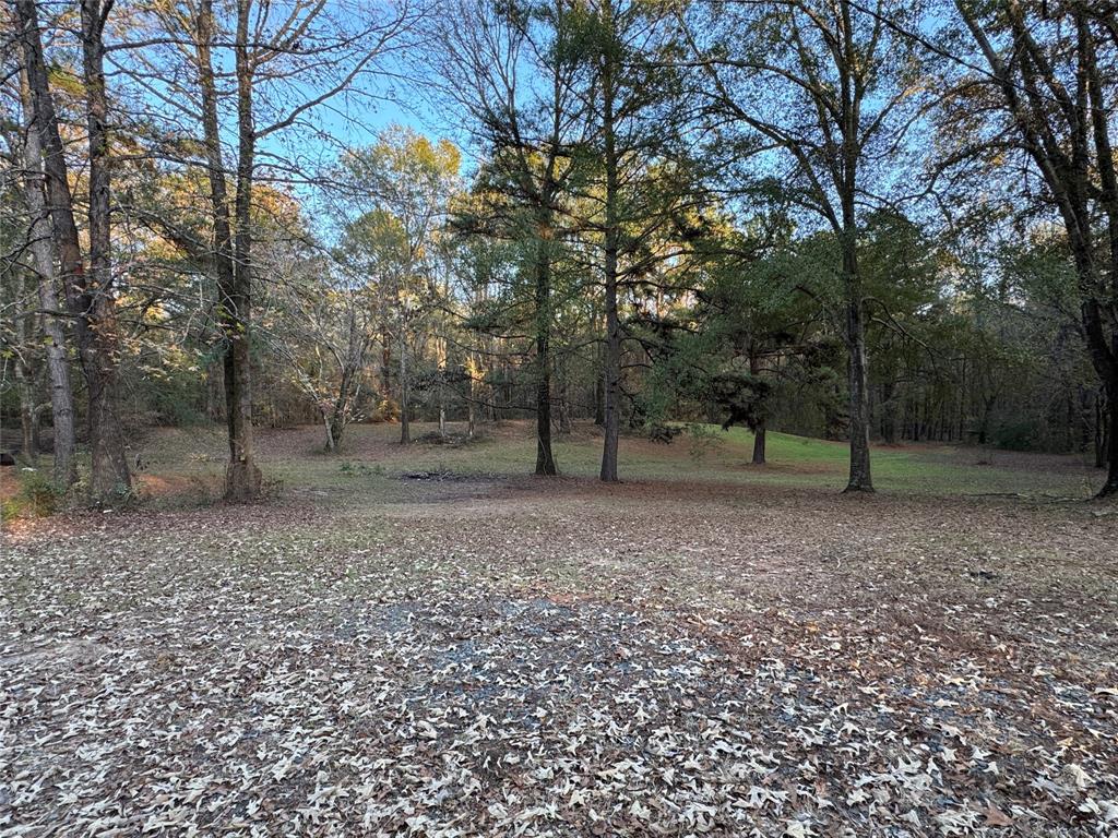 220 Robinson Road Elm Grove, LA 71051 - Photo 17 of 22 a view of a yard with trees