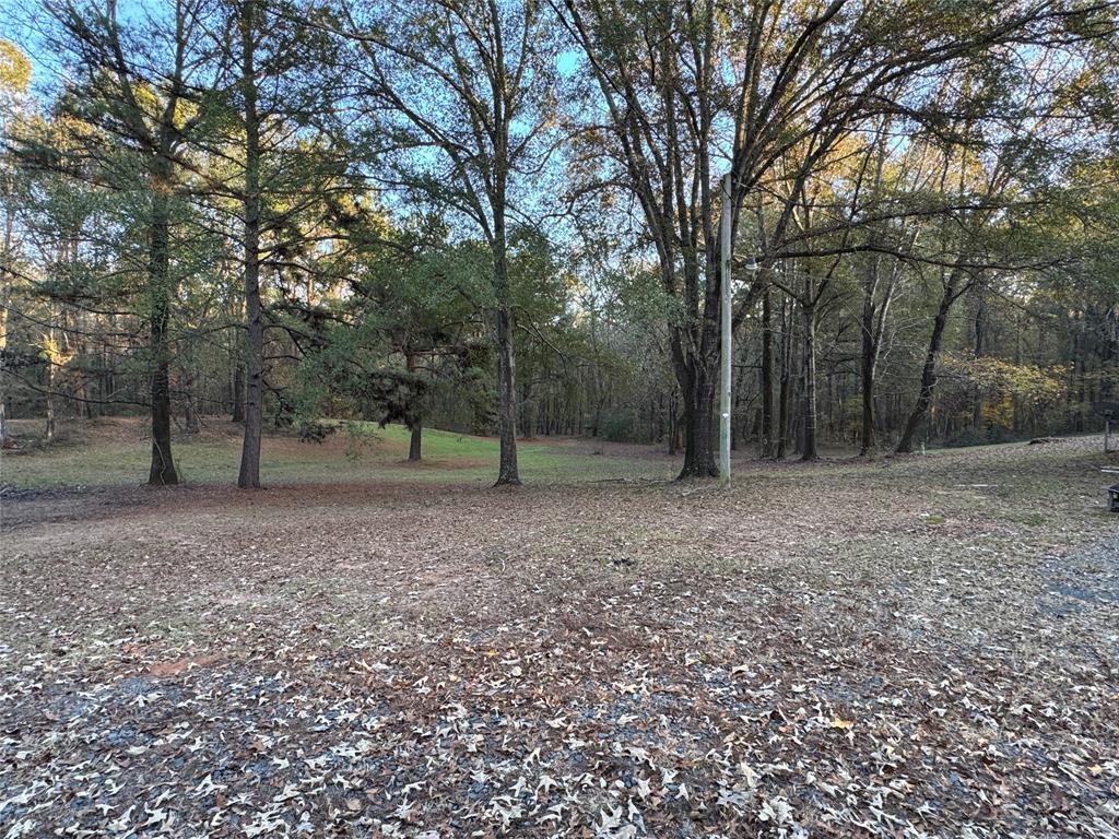 220 Robinson Road Elm Grove, LA 71051 - Photo 18 of 22 a view of outdoor space and yard