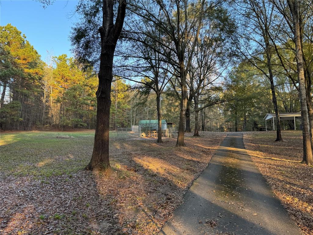 220 Robinson Road Elm Grove, LA 71051 - Photo 21 of 22 a view of a yard with a tree