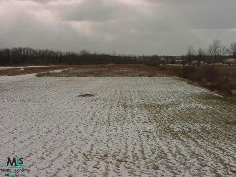 55825 Scheuer Road New Baltimore, MI 48051 - Photo 9 of 9 726842-8.JPG