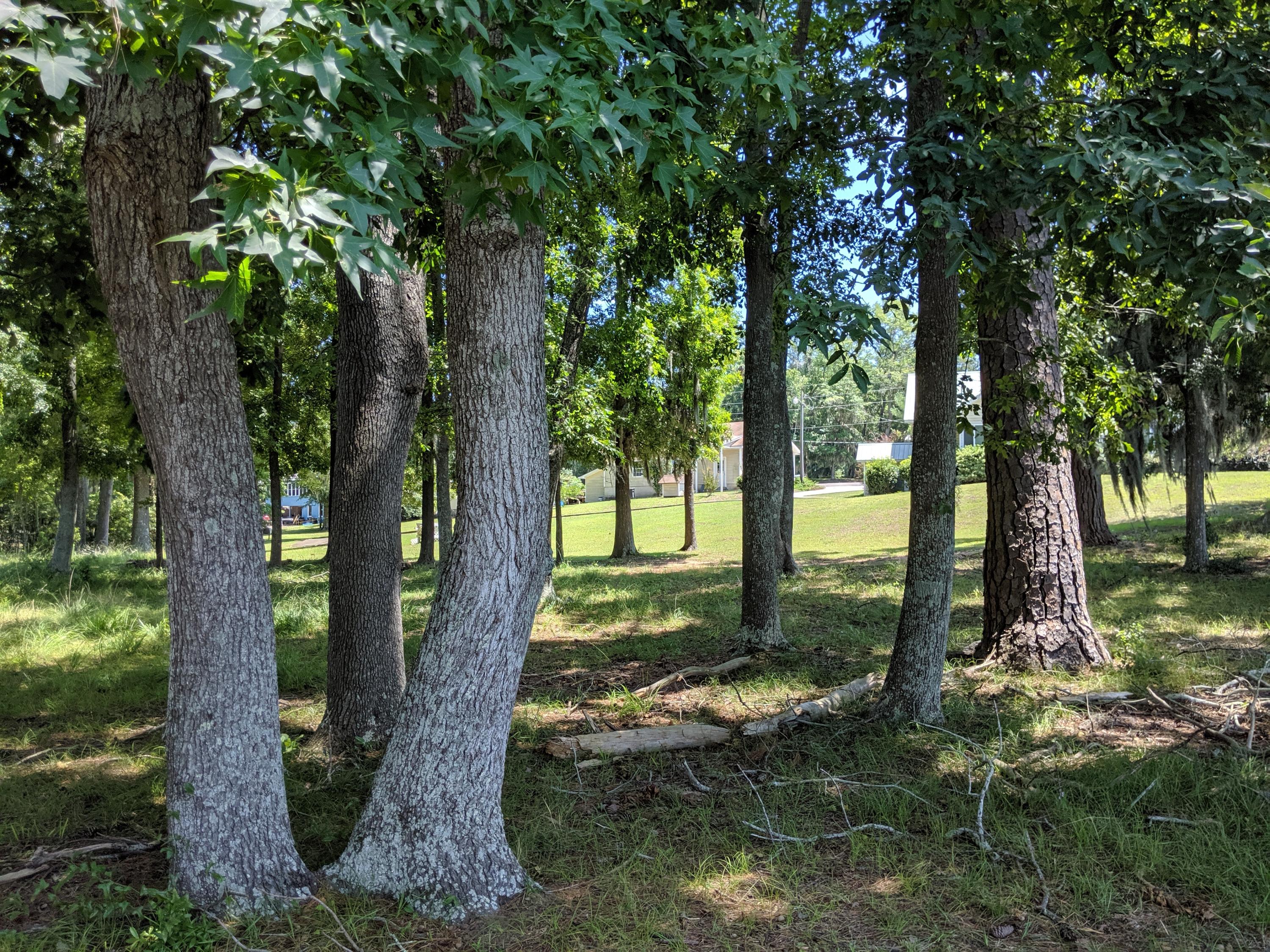 2210 Princess Pond Road Summerton, SC 29148 - Photo 42 of 57 MVIMG_20190725_140613