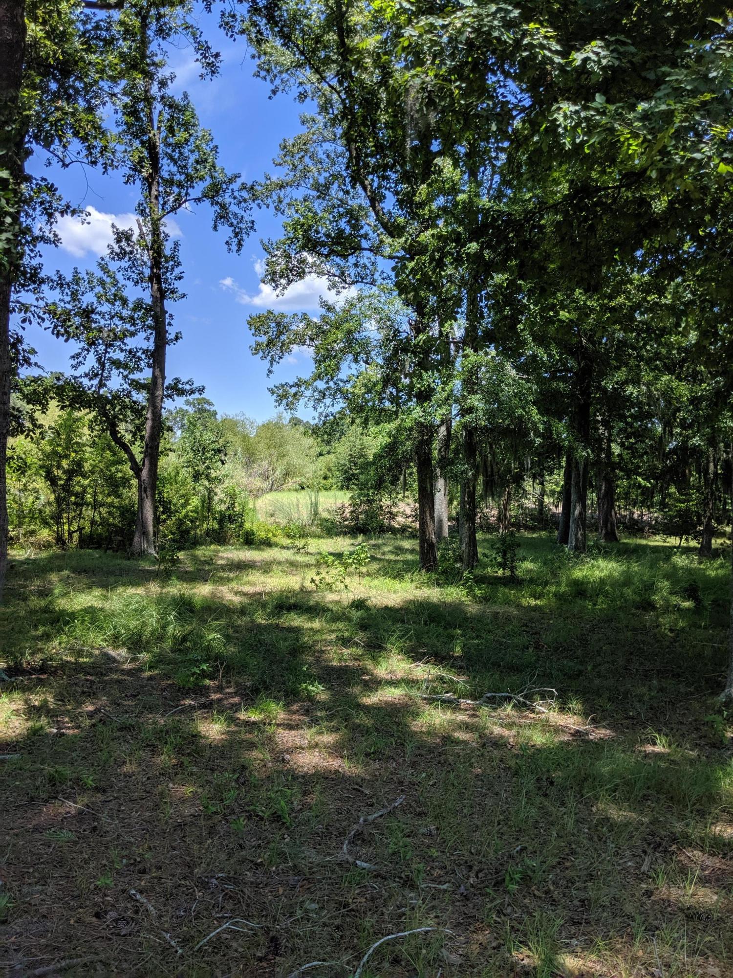 2210 Princess Pond Road Summerton, SC 29148 - Photo 43 of 57 MVIMG_20190725_140730