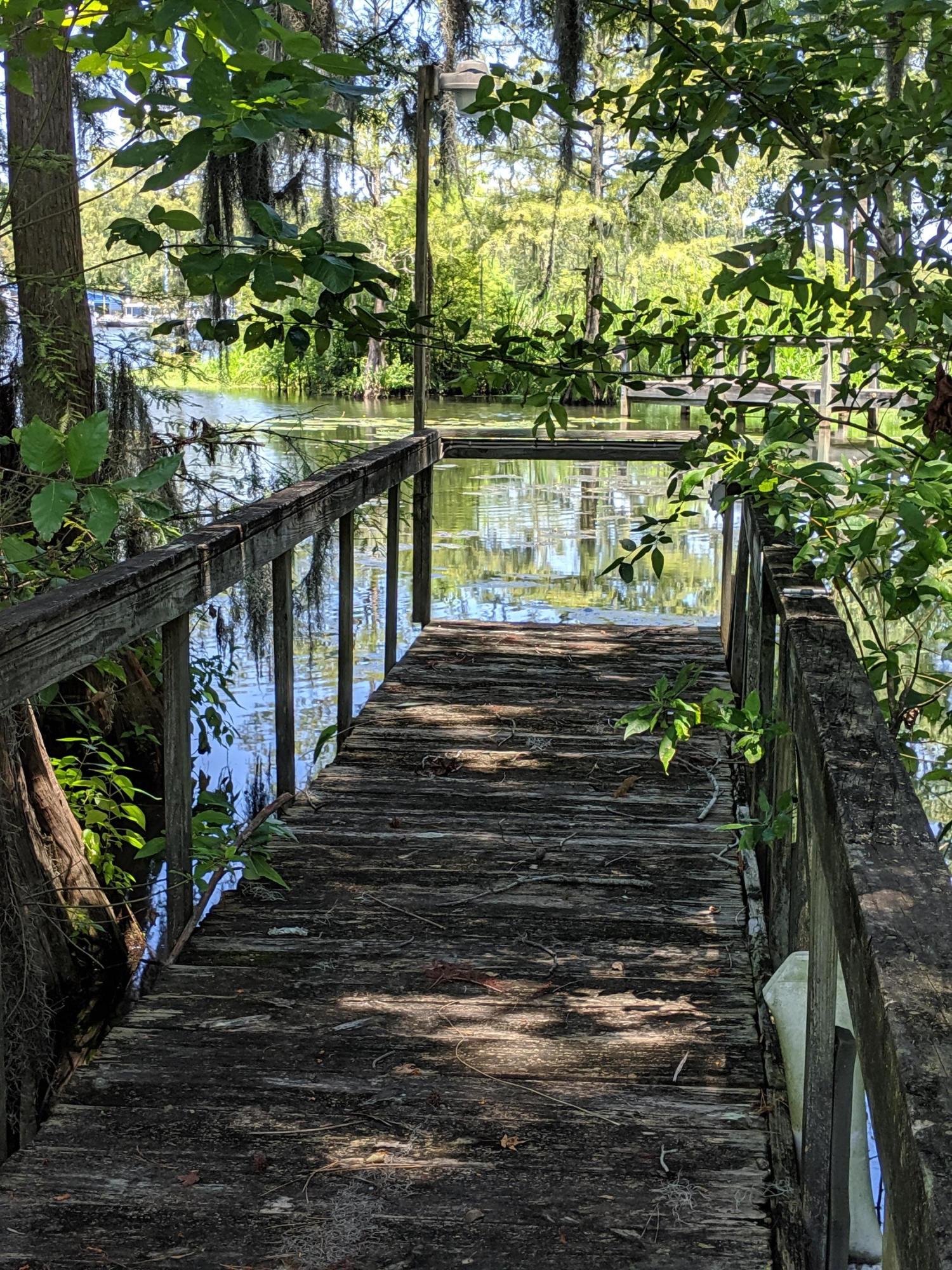 2210 Princess Pond Road Summerton, SC 29148 - Photo 44 of 57 MVIMG_20190725_140838