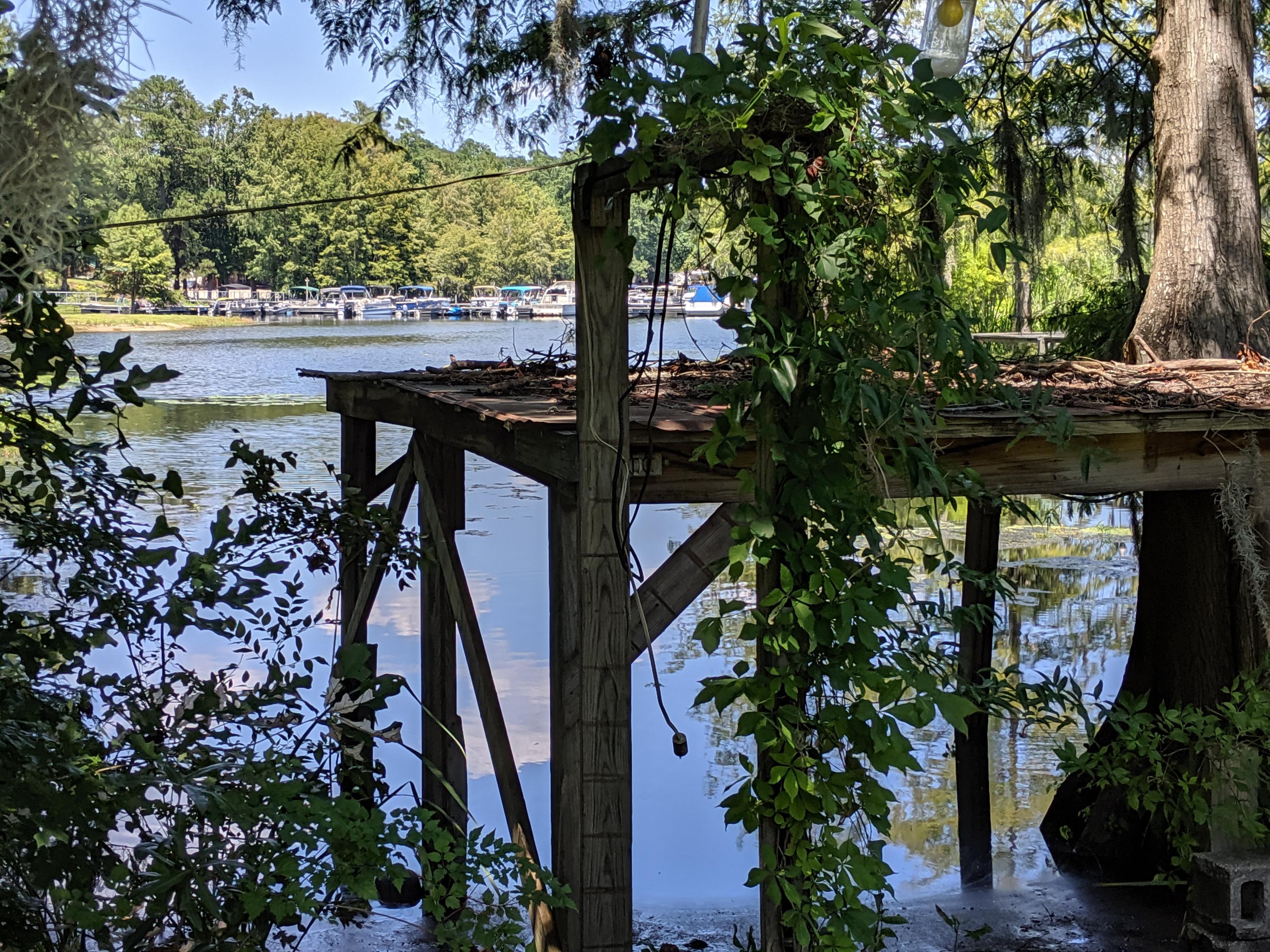 2210 Princess Pond Road Summerton, SC 29148 - Photo 45 of 57 MVIMG_20190725_140905