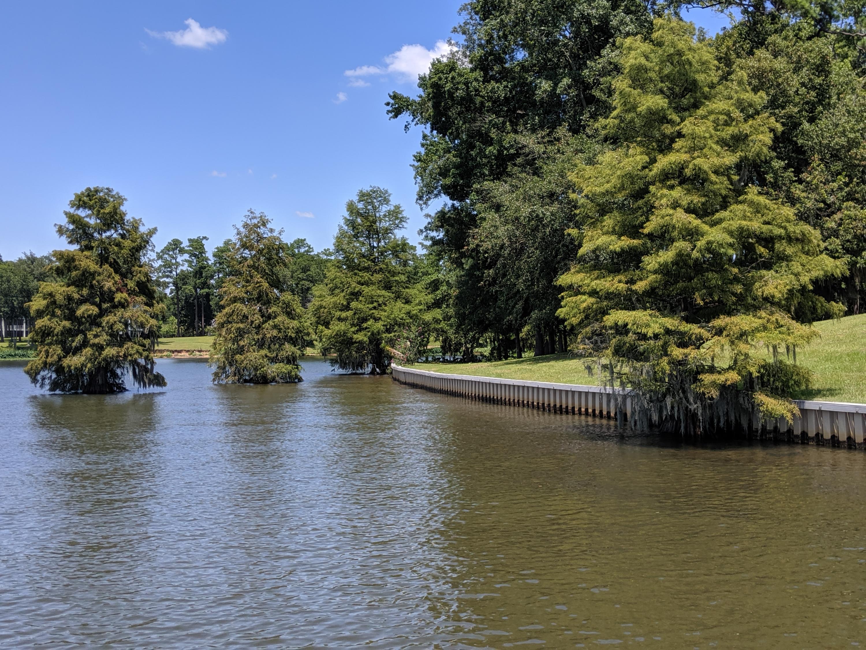 2210 Princess Pond Road Summerton, SC 29148 - Photo 6 of 57 IMG_20190725_140035