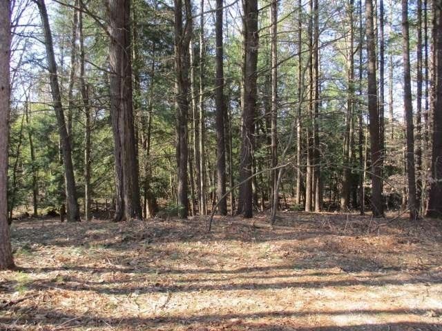 $10,200 | 0 Siegle Street, Farwell, MI 48622
