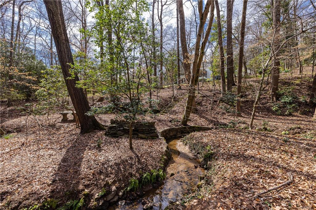 3248 Nancy Creek Road Northwest Atlanta, GA 30327 - Photo 7 of 44 a backyard of a house with lots of green space