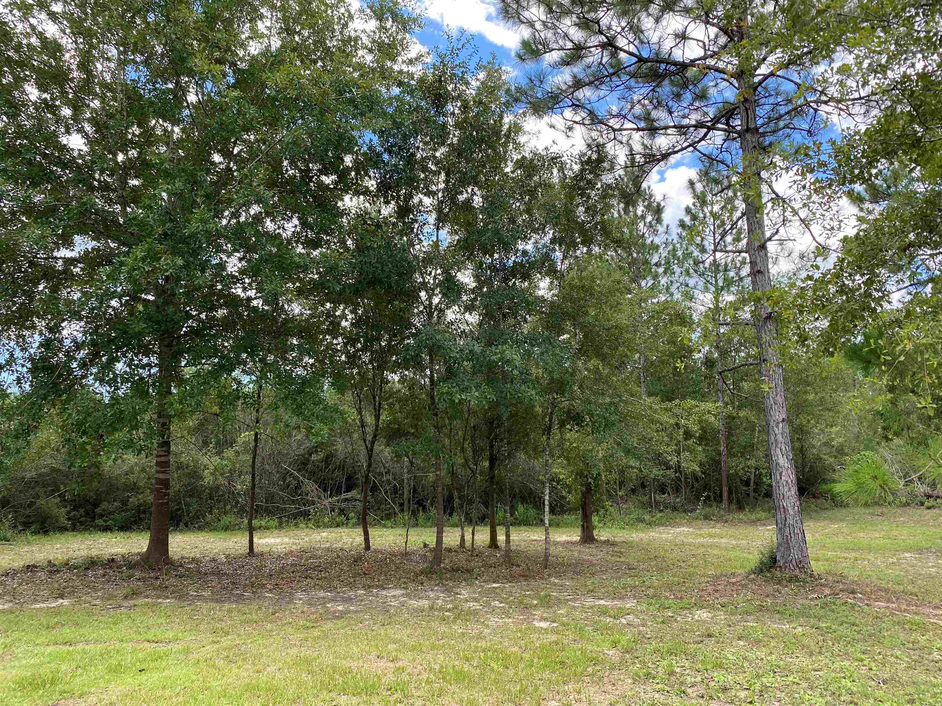 19345 Vaughn Road Seminole, AL 36574 - Photo 13 of 14
