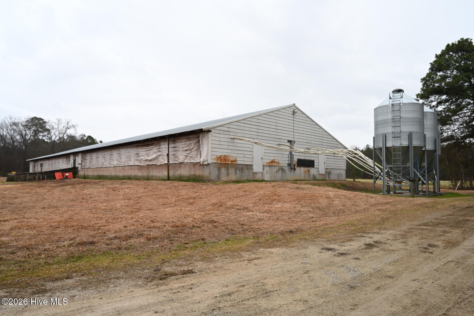 1535 Maul Swamp Road Vanceboro, NC 28586 - Photo 23 of 45 DSC_1464