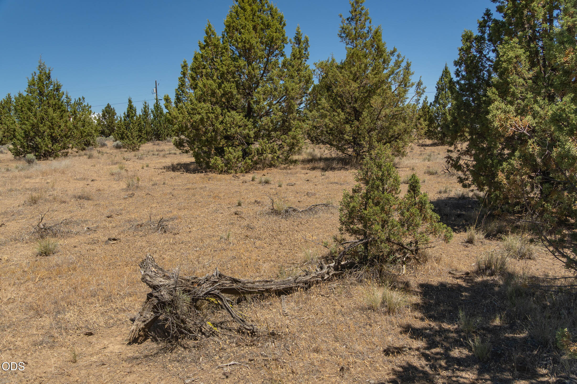 0 Southwest Blue Jay Road Terrebonne, OR 97760 - Photo 4 of 14