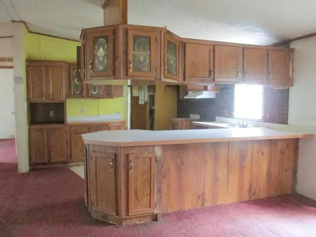 a view of a trees in a yard