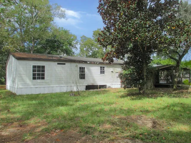 a view of a backyard with plants and large tree