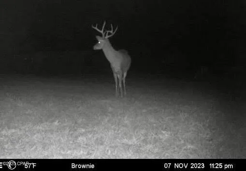 $555,000 | 908 North Caryville Road, Bonifay, FL 32425