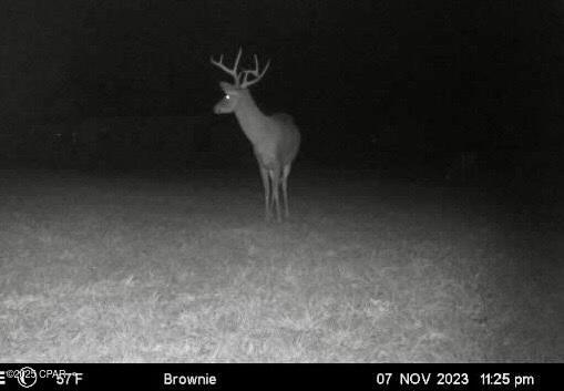 908 North Caryville Road Bonifay, FL 32425 - Photo 19 of 28