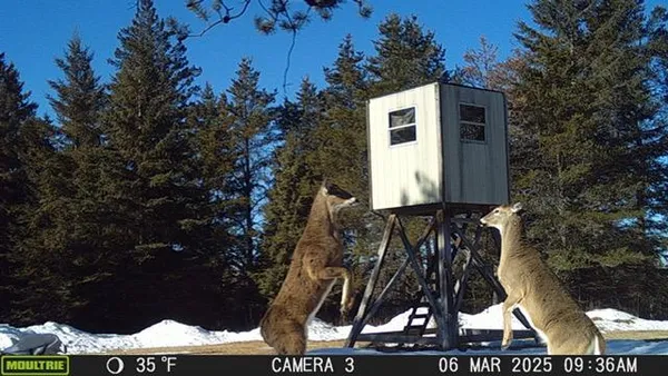 $869,000 | 2965 Bankton Road Southwest, Baudette, MN 56623