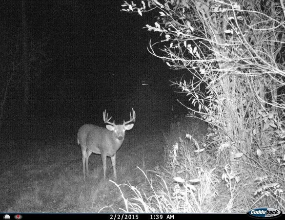 $869,000 | 2965 Bankton Road Southwest, Baudette, MN 56623