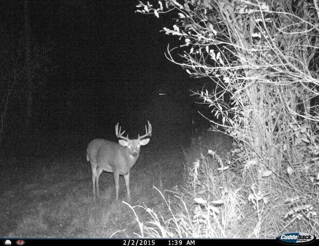 $869,000 | 2965 Bankton Road Southwest, Baudette, MN 56623