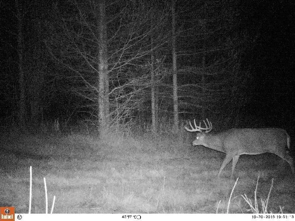 $869,000 | 2965 Bankton Road Southwest, Baudette, MN 56623