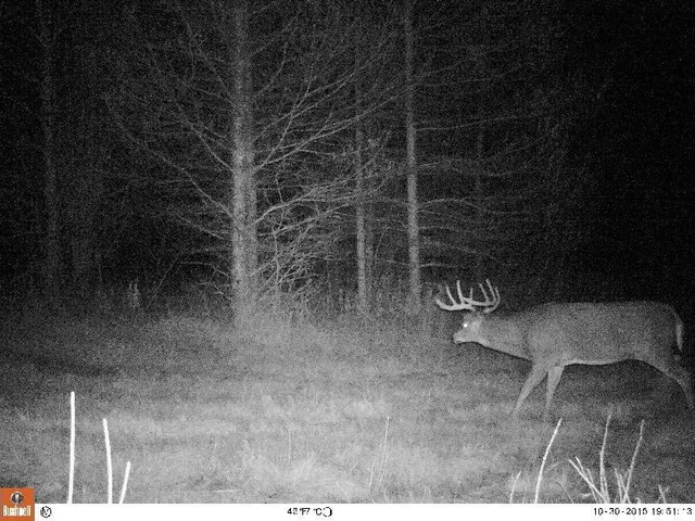 $869,000 | 2965 Bankton Road Southwest, Baudette, MN 56623