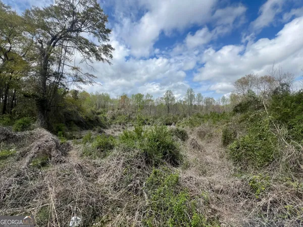 $130,000 | 1029 Cr- 474, Lafayette, AL 36862