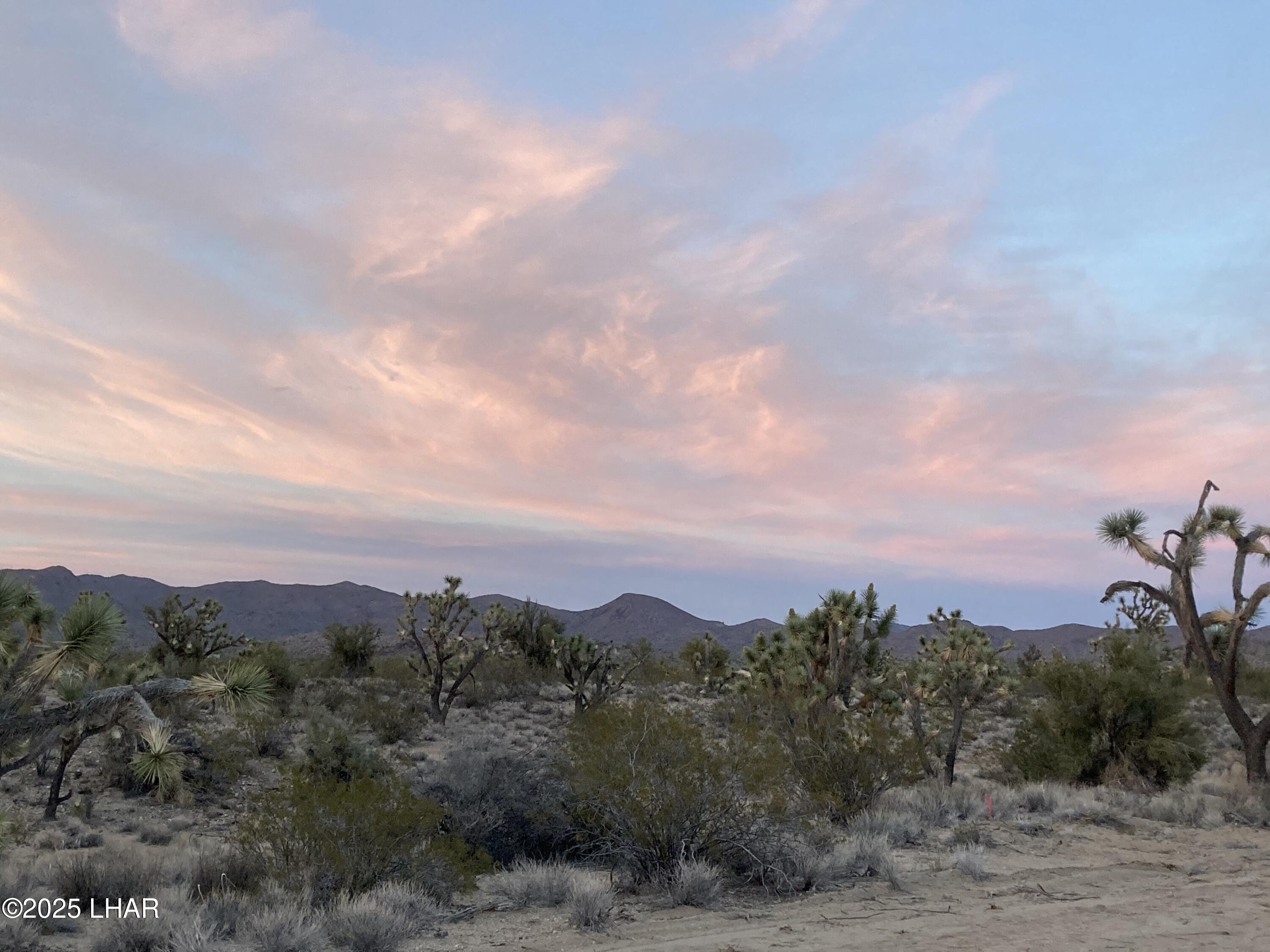 2082 South Roadrunner Road Yucca, AZ 86438 - Photo 1 of 14 IMG_3359