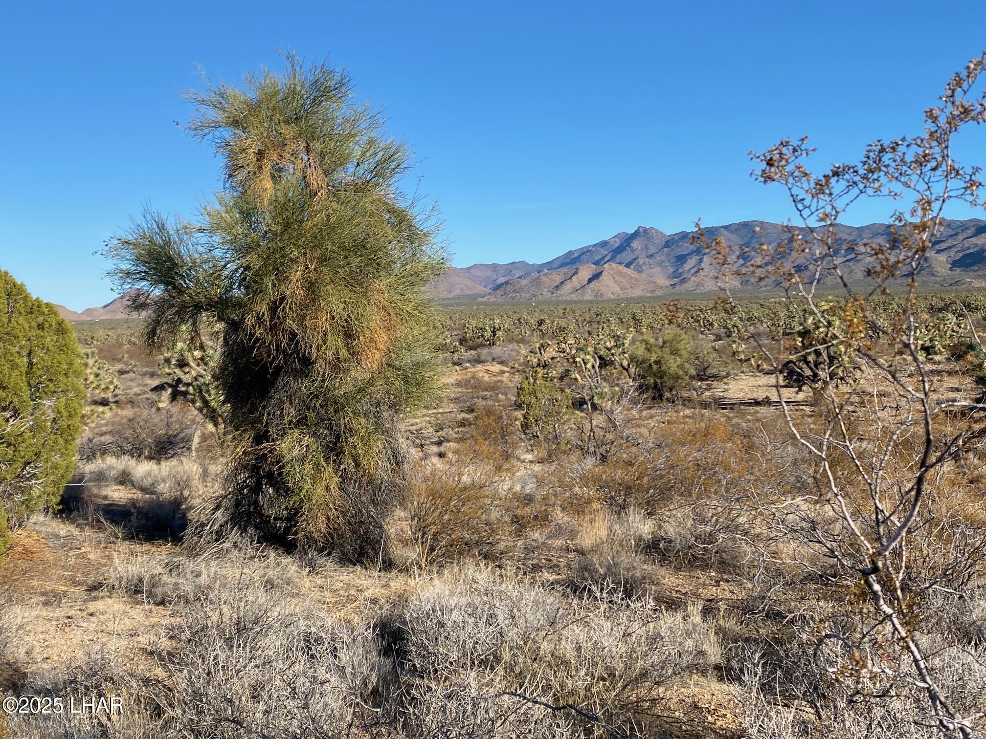 2082 South Roadrunner Road Yucca, AZ 86438 - Photo 11 of 14 IMG_3355