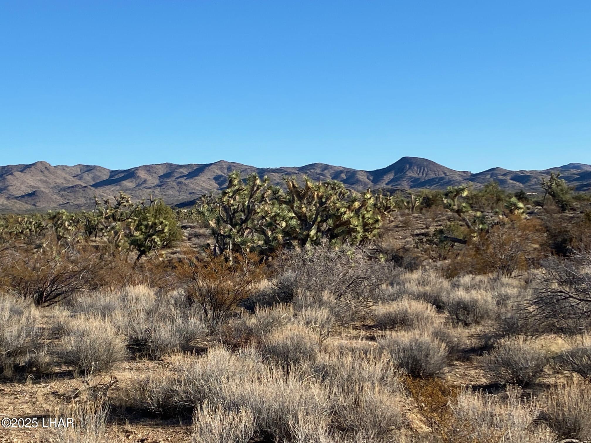 2082 South Roadrunner Road Yucca, AZ 86438 - Photo 12 of 14 IMG_3354