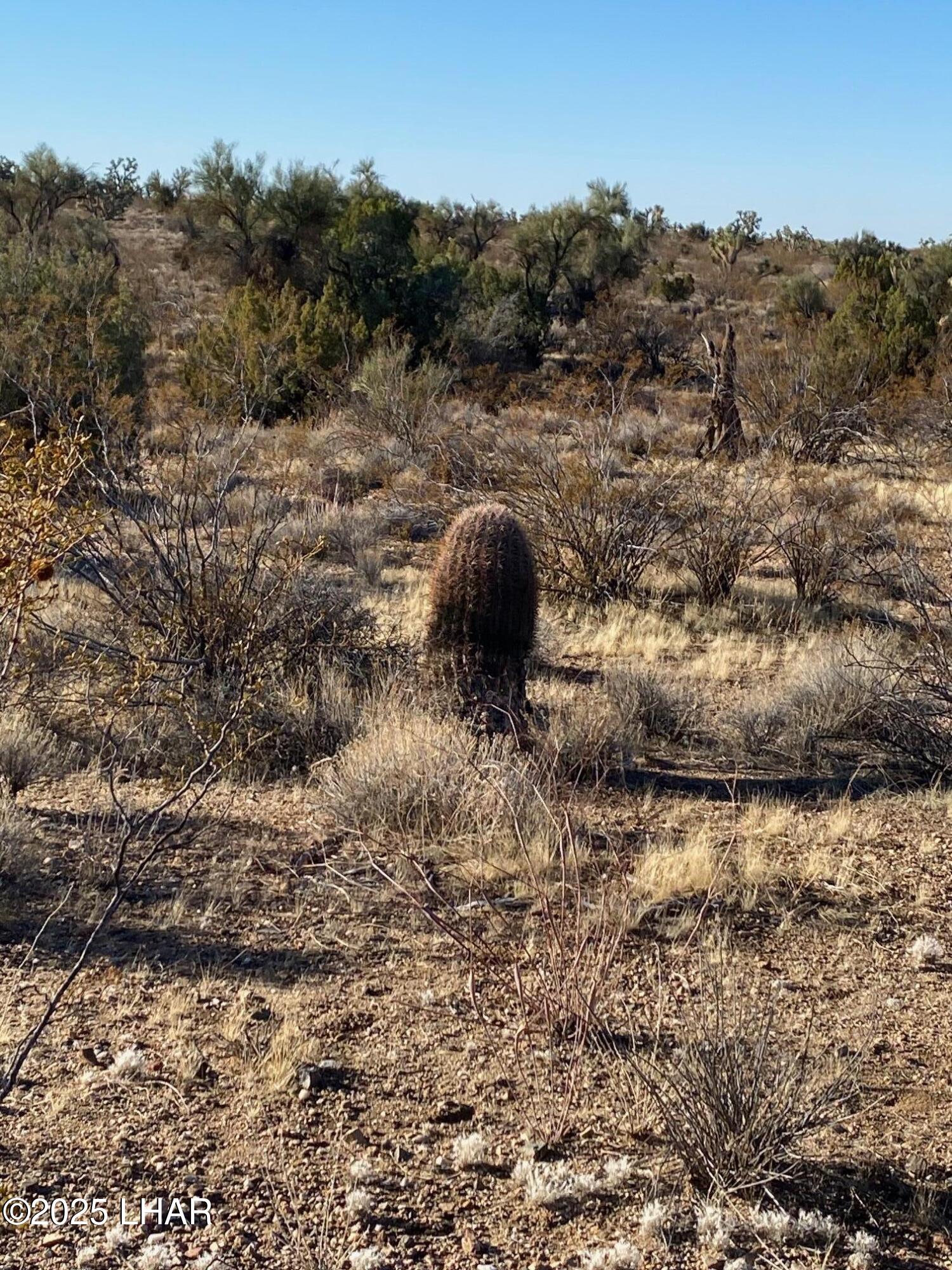 2082 South Roadrunner Road Yucca, AZ 86438 - Photo 14 of 14 IMG_3352
