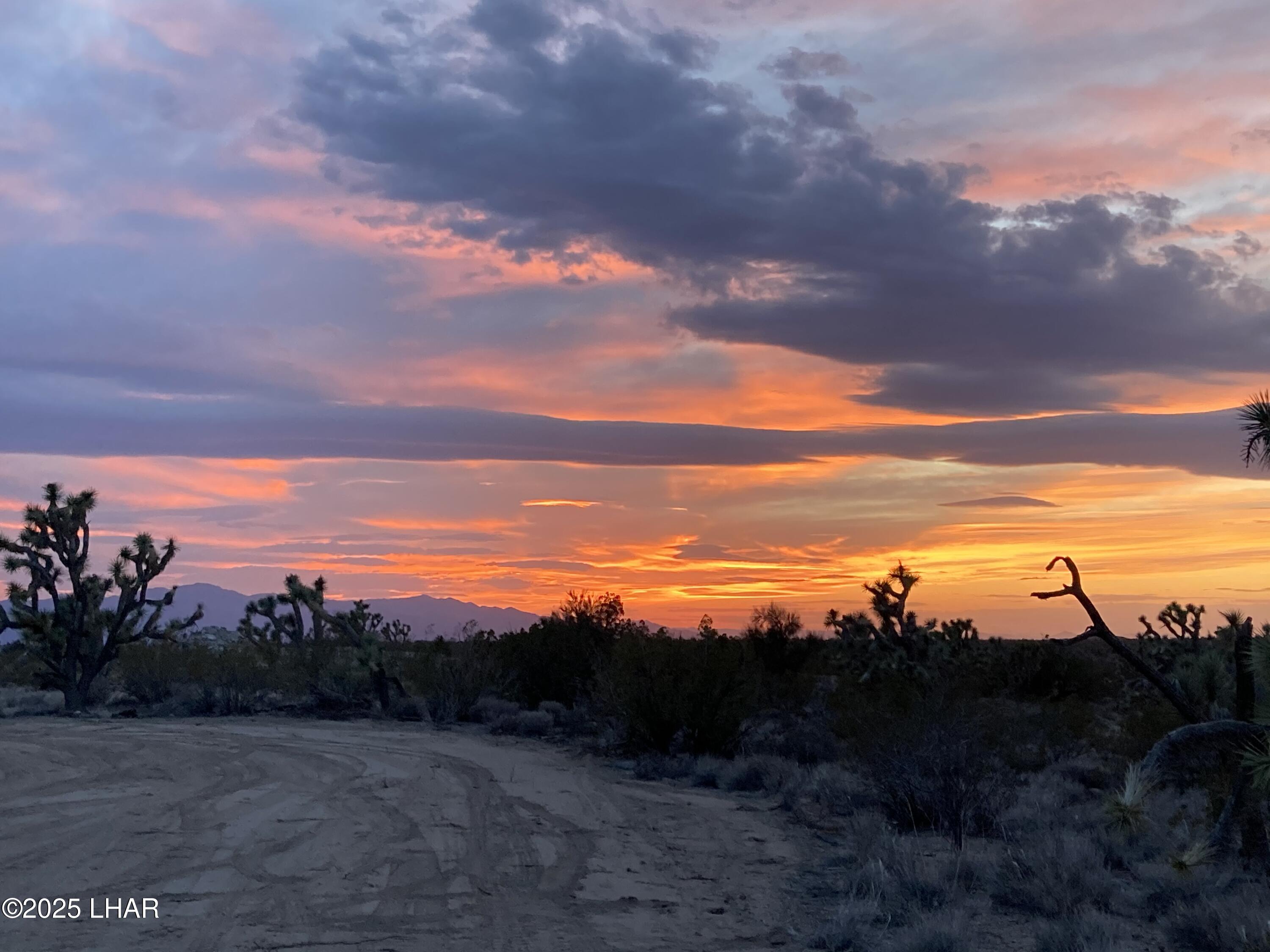 2082 South Roadrunner Road Yucca, AZ 86438 - Photo 2 of 14 IMG_3364