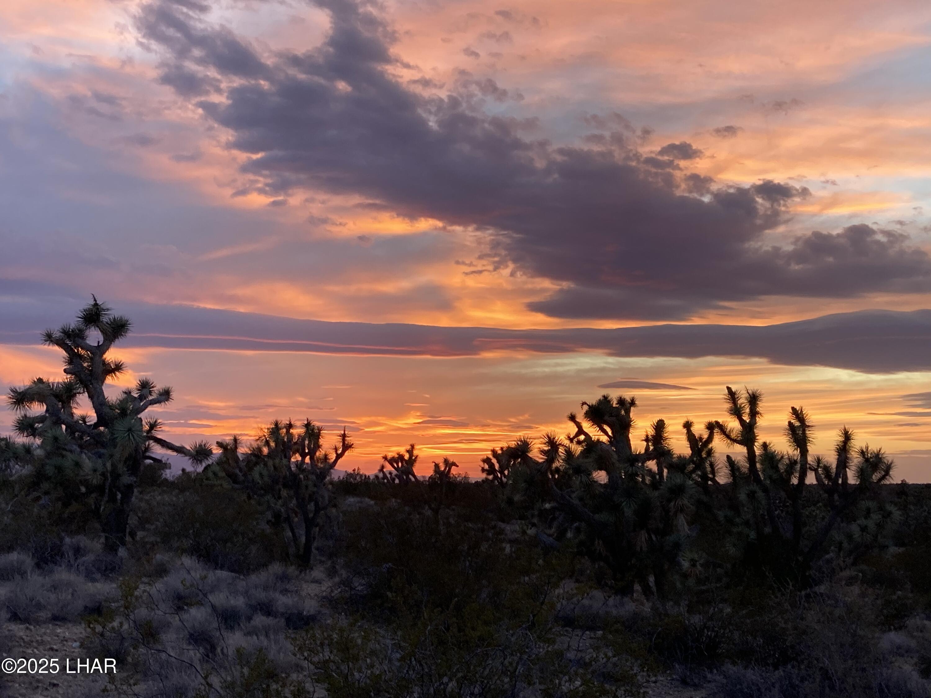 2082 South Roadrunner Road Yucca, AZ 86438 - Photo 5 of 14 IMG_3363