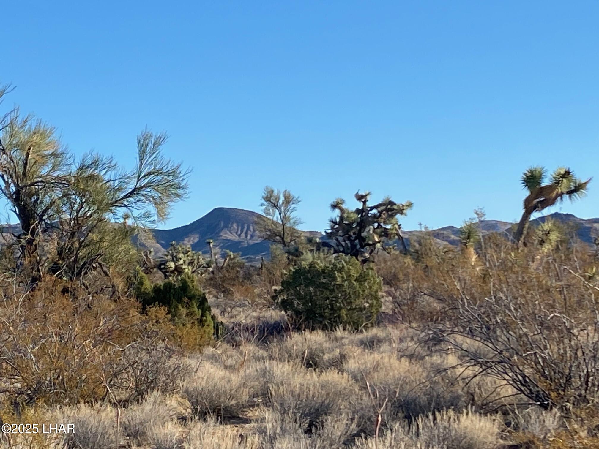 2082 South Roadrunner Road Yucca, AZ 86438 - Photo 6 of 14 IMG_3340