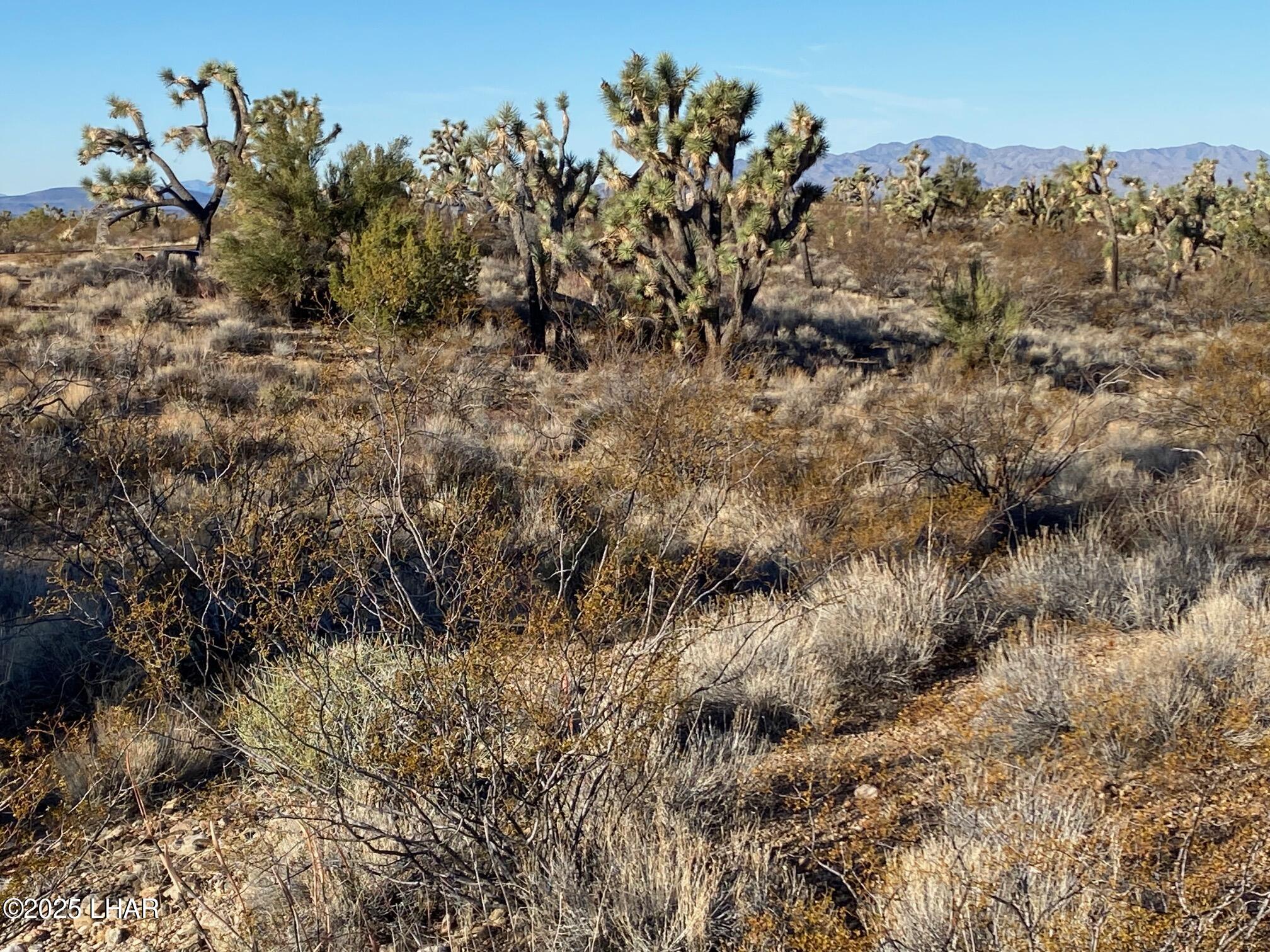2082 South Roadrunner Road Yucca, AZ 86438 - Photo 7 of 14 IMG_3350 (1)