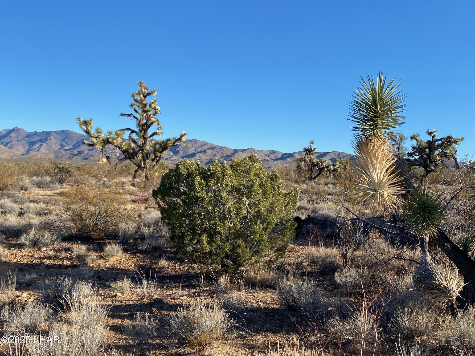 2082 South Roadrunner Road Yucca, AZ 86438 - Photo 9 of 14 IMG_3345