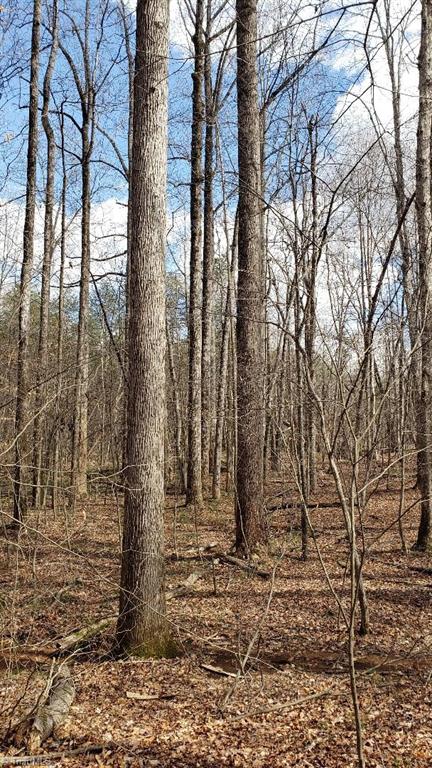 833 Calahaln Road Mocksville, NC 27028 - Photo 13 of 15 Poplar forest