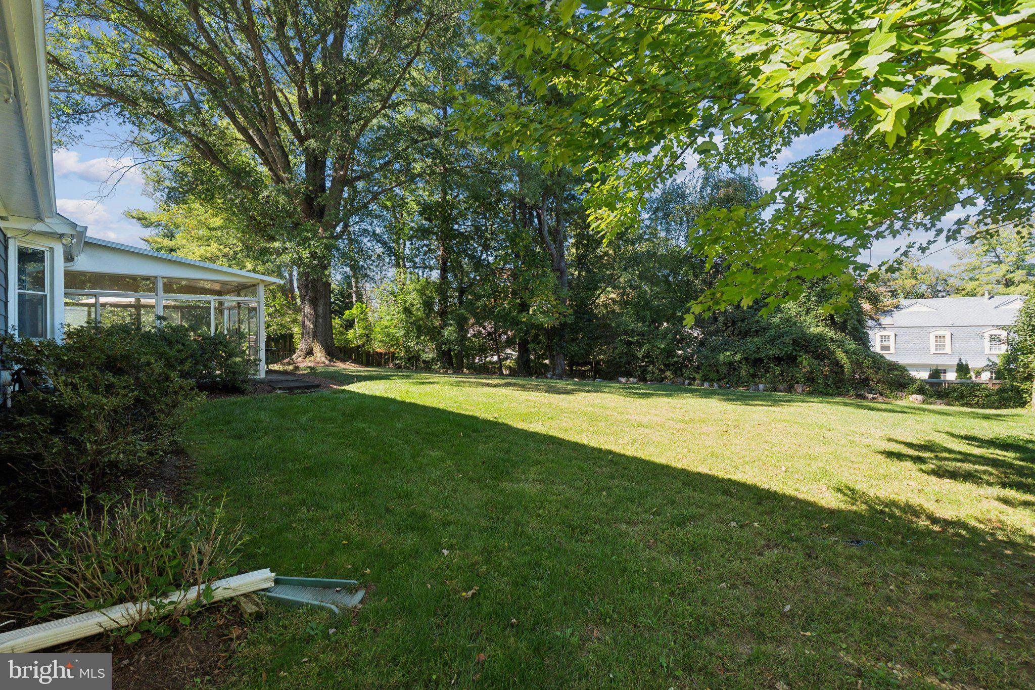 4205 Norbeck Road Rockville, MD 20853 - Photo 30 of 33 Lush green oasis in a tranquil setting.