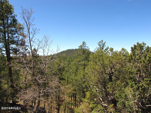 2075 East Ridge Drive Pinetop, AZ 85935 - Photo 24 of 84 20150519042520008390000000-o