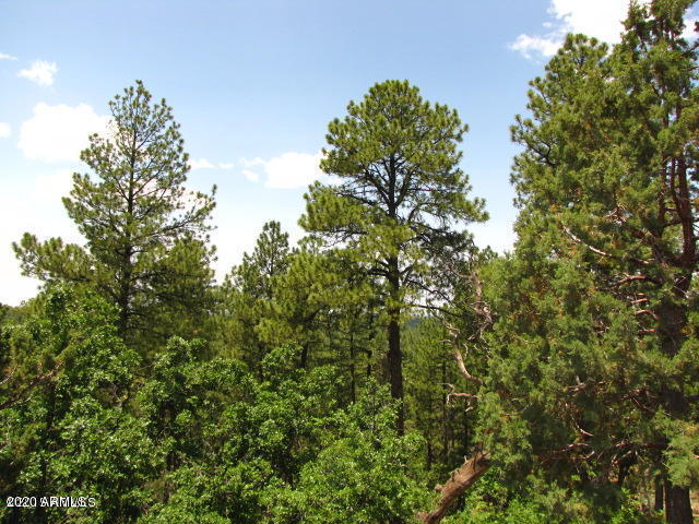 2075 East Ridge Drive Pinetop, AZ 85935 - Photo 53 of 84 20170227203412733495000000-o