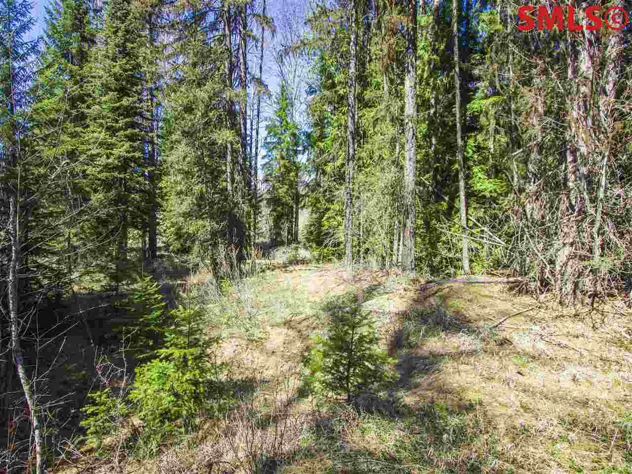Forty Niner Road Bonners Ferry, ID 83805 - Photo 1 of 1