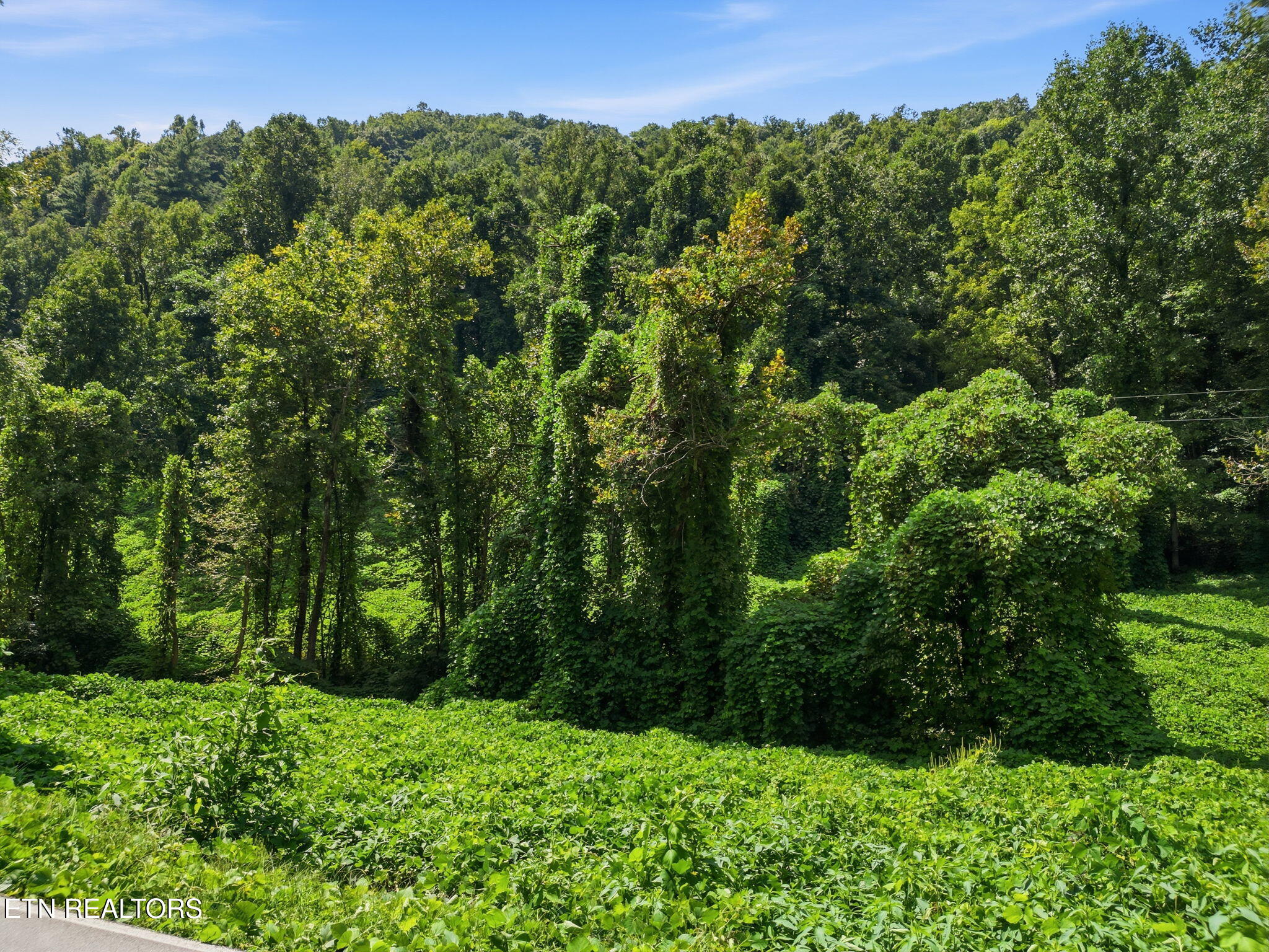 3910 Wilhite Road Sevierville, TN 37876 - Photo 38 of 45 45-web-or-mls-DJI_0999