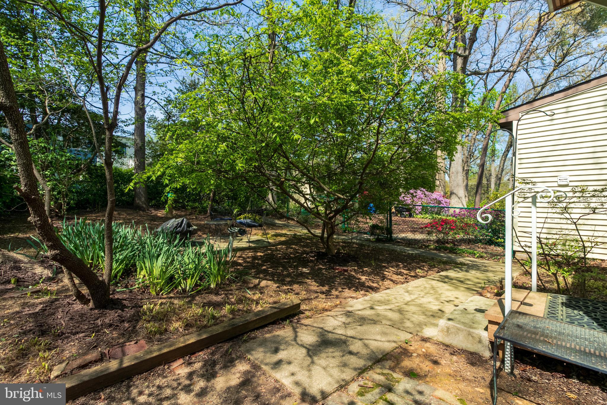 9 Ridge Road, Unit E Greenbelt, MD 20770 - Photo 22 of 25 Gallery Image 22