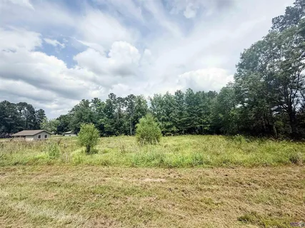 $56,000 | 29378 South Anne Drive, Walker, LA 70785