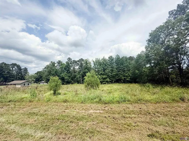 $55,000 | 29378 South Anne Drive, Walker, LA 70785