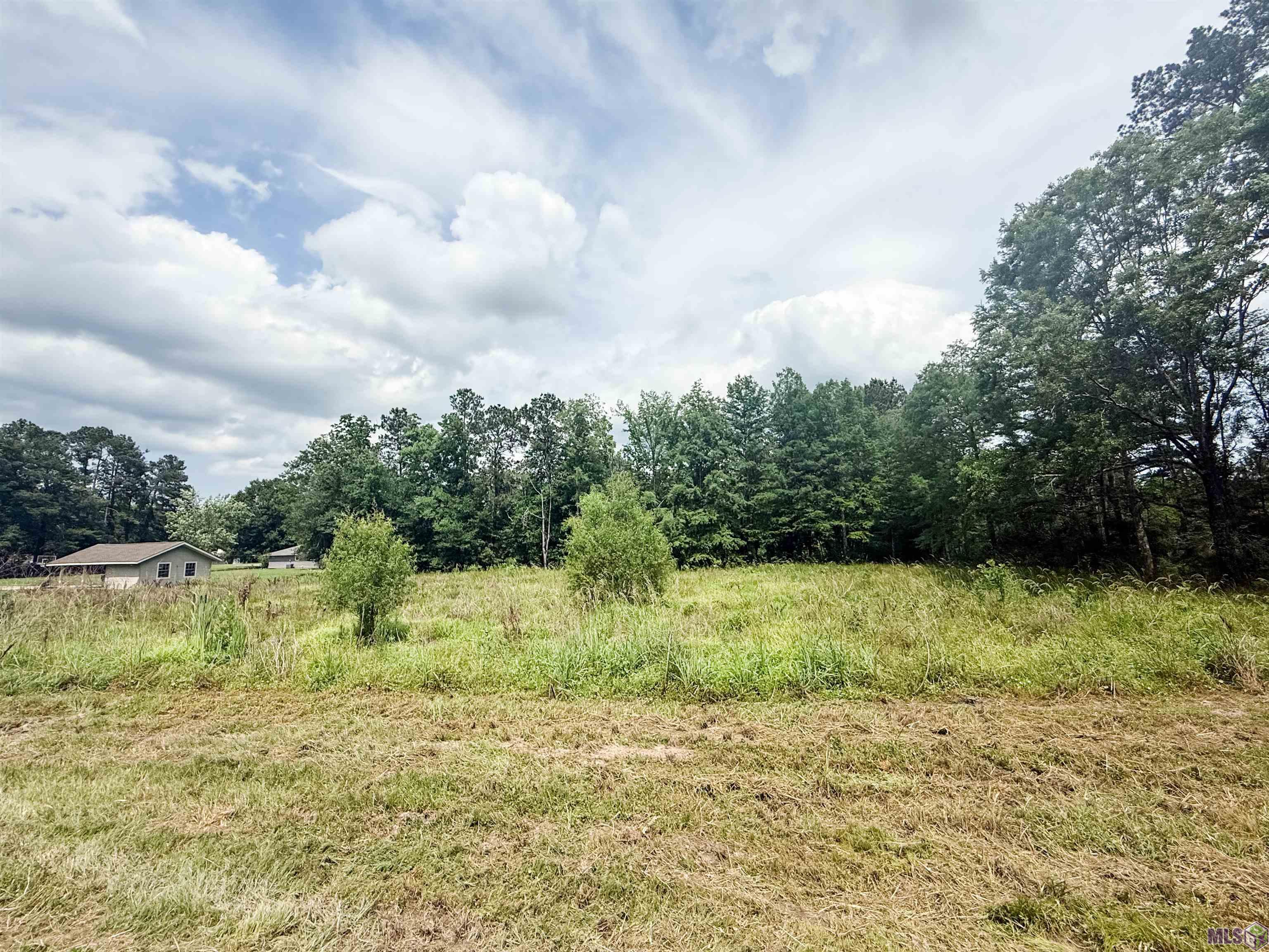 29378 South Anne Drive Walker, LA 70785 - Photo 11 of 15