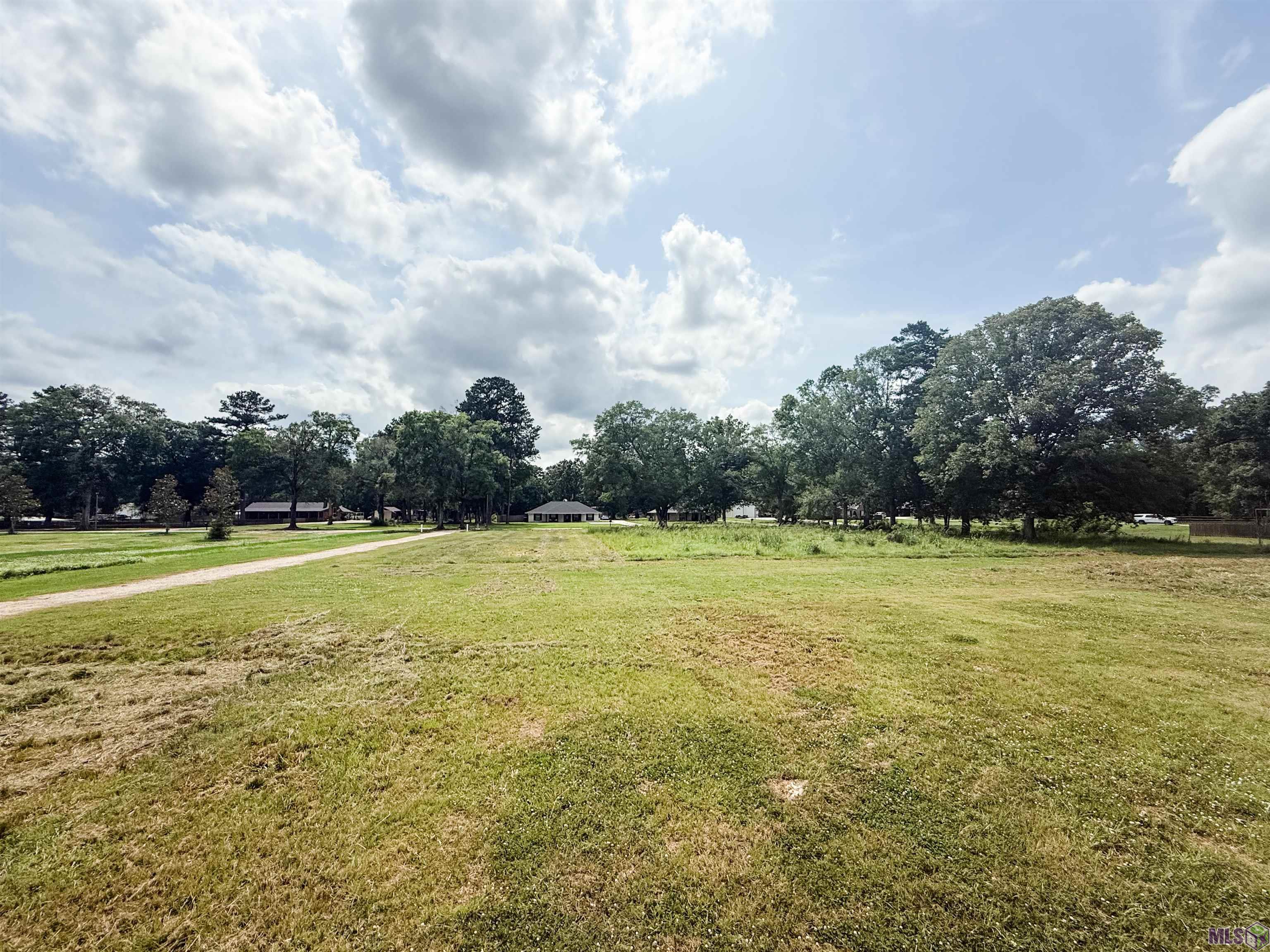 29378 South Anne Drive Walker, LA 70785 - Photo 13 of 15