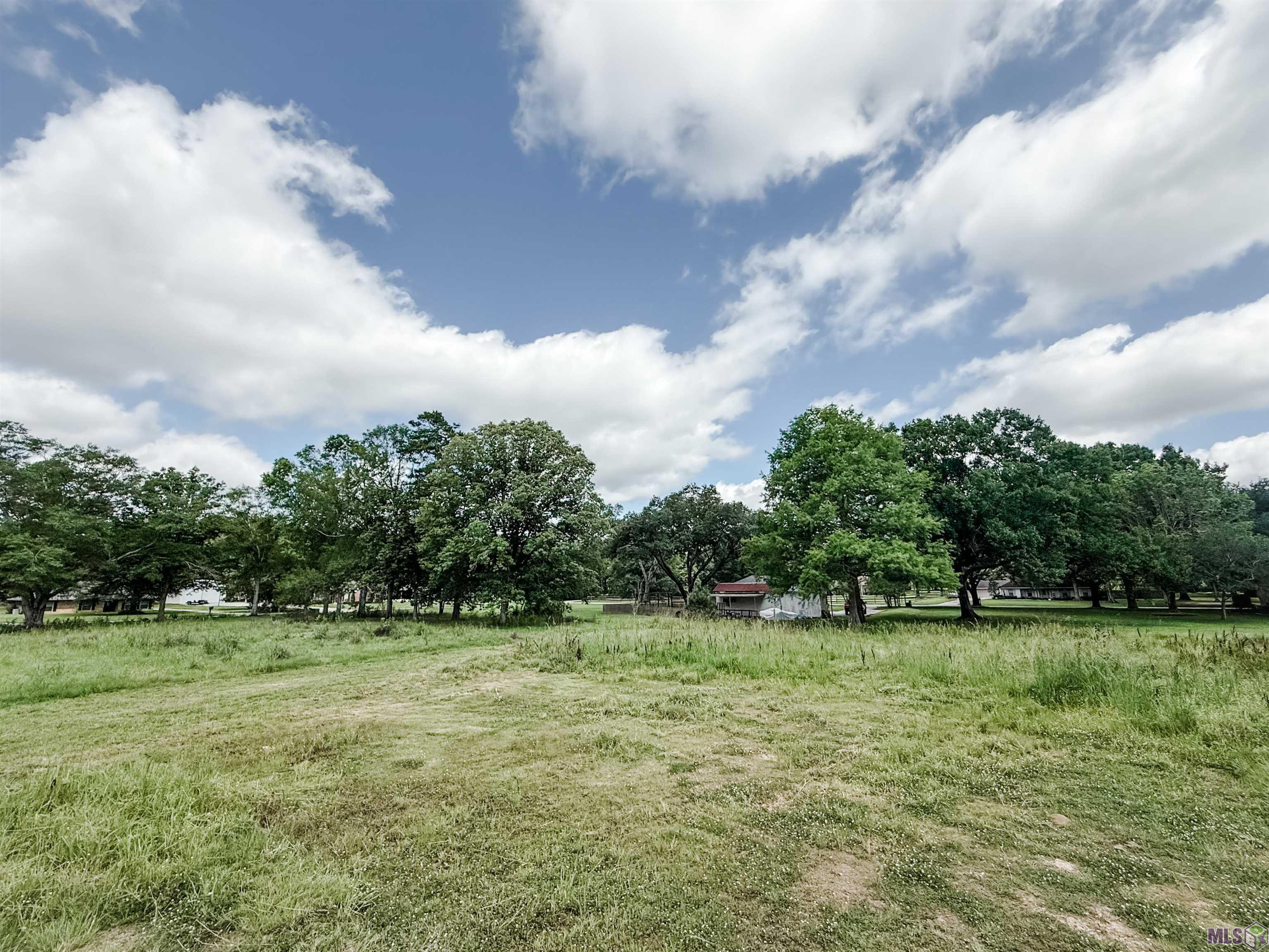 29378 South Anne Drive Walker, LA 70785 - Photo 6 of 15